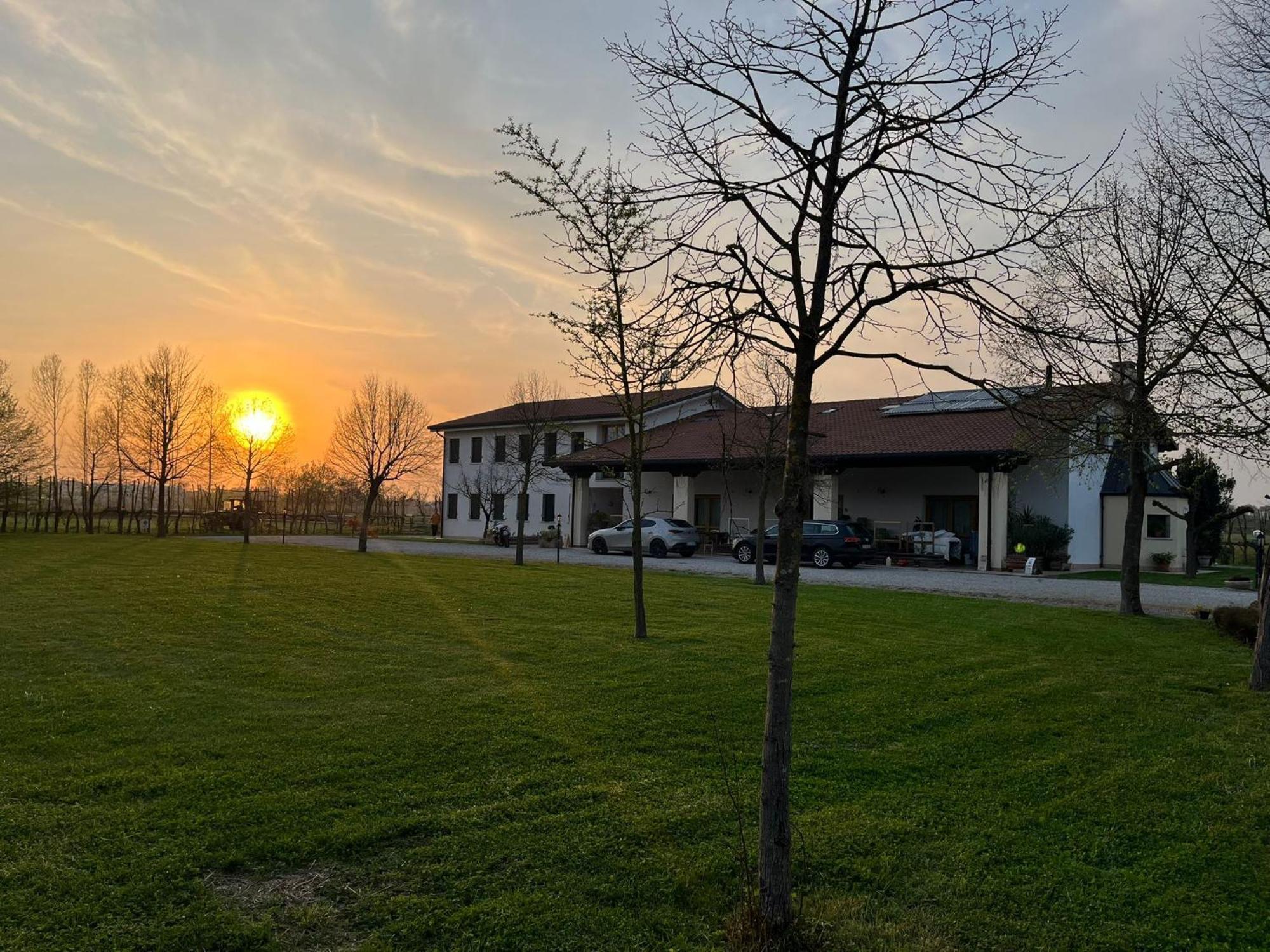 Agriturismo Al Botteniga 트레비소 외부 사진